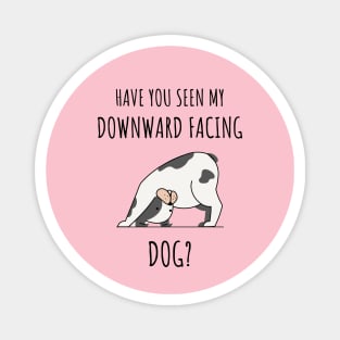 HAVE YOU SEEN MY DOWNWARD FACING DOG? Magnet